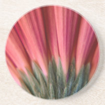 Abstract Macro Red and Pink Gerbera Flower Coasters