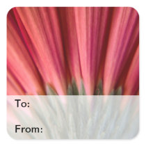Abstract Macro Red and Pink Gerbera Gift Tags Stickers