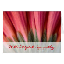 Abstract Macro Red Pink Gerbera Sympathy Card