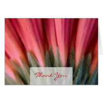 Abstract Macro Red Pink Gerbera Thank You Cards