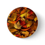 Abstract Maple and beech leaves Pin