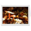 Abstract Mushrooms I cards