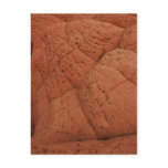Abstract Nature Postcard