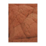 Abstract Nature Postcard