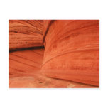 Abstract Nature Postcard