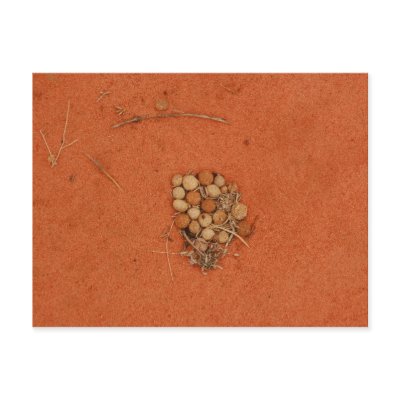 Abstract Nature Postcard by SatoriDesign