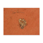 Abstract Nature Postcard