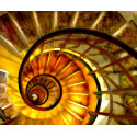 Abstract Nautilus Spiral Staircase print