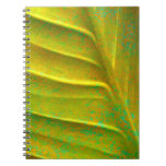 Abstract Notebook