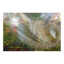 Abstract of Nature posters