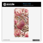 Abstract Photograph of a Pink Tulip Tree Decals For iPhone 4S