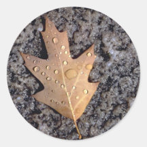 Abstract Red oak leaf and water droplets Stickers