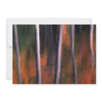 Abstract Reflection of autumn foliage in a beaver Custom Announcements