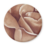 Abstract Rose in Oil