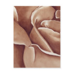 Abstract Rose in Oil