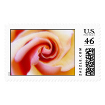 Abstract Rose postage