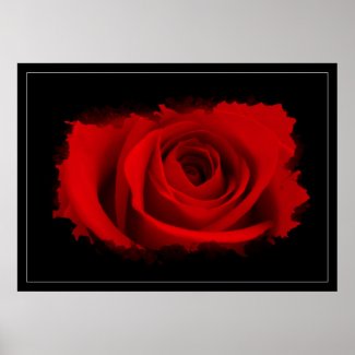 Abstract Rose