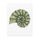 Abstract Sea Shell-001 Post Cards