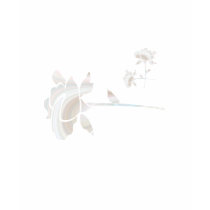 Abstract Silver Roses t-shirts