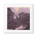 Abstract Spider  Web magnets