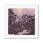 Abstract Spider  Web Refrigerator Magnets