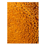Abstract Texture's Post Card