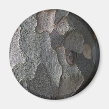 Abstract tree bark macro magnet