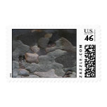Abstract tree bark macro stamps