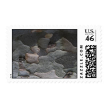 Abstract tree bark macro stamps