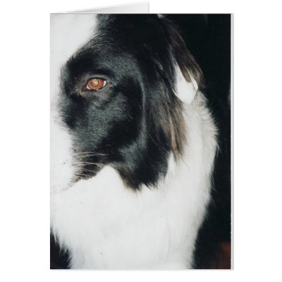 abstract vinny1 greeting cards by yellacorvette