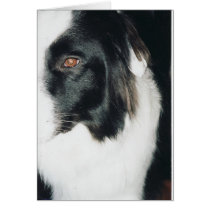 abstract vinny1 greeting cards