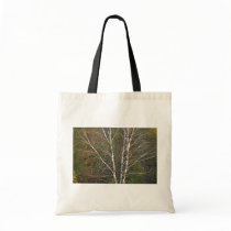 Abstract White birch tree on the edge of a hardwoo Tote Bags