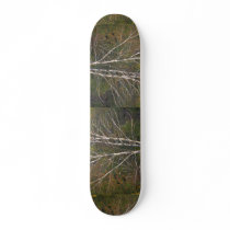 Abstract White birch tree on the edge of a hardwoo Custom Skate Board