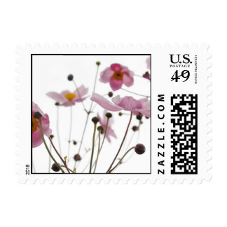 wildflowers stamp abstract wildflower stamps postage