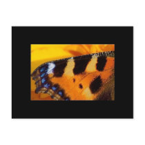 Abstract Wings Postcard