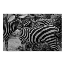 Abstract Zebras posters