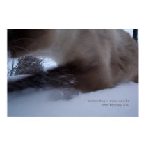 abstraction in fur and snow posters