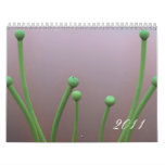 abstracts wall calendar