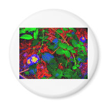 ABSTRACTS FLORALS WINE BOTTLES FRIDGE MAGNET