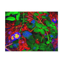 ABSTRACTS FLORALS WINE BOTTLES POST CARDS