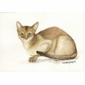 "Absyssinian Cat" Art Photo Sculpture photo sculptures
