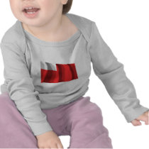 Abu Dhabi Waving Flag t-shirts