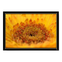 Abundance posters