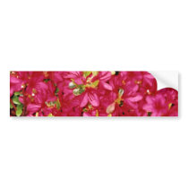 Abundant Azaleas Bumper Sticker