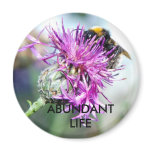 Abundant Life Fridge Magnets