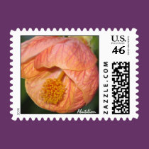 Abutilion (Chinese Lantern) Stamp stamps