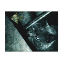 Abyss cat - Postcard