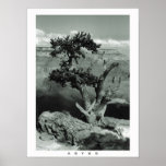 Abyss posters