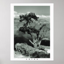 Abyss Print