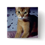 Abyssinian Pins